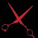 Axiom Cutler Salon logo